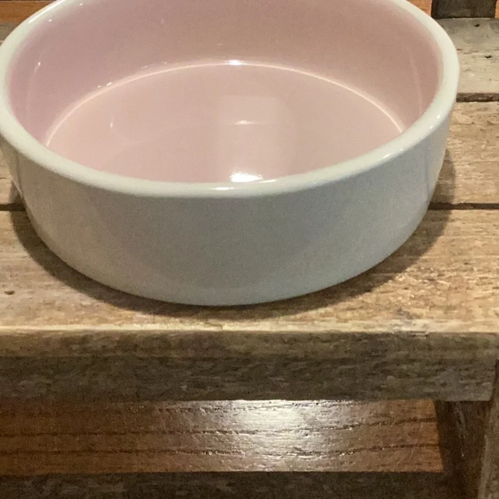 Rae Dunn THE BOSS Pet Bowl